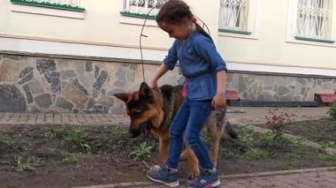 Birlikte olduğumuz için şanslıyız. Köpekle koşan ve gülümseyen sevimli küçük bir kız.