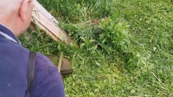 Людина з ручною газонокосаркою косить траву — стокове відео