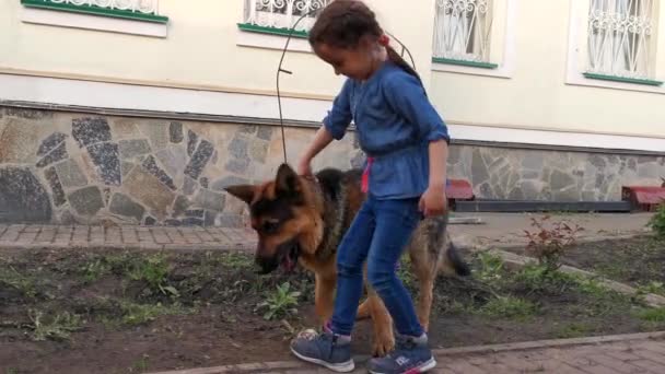 Štěstí, že jsme spolu. Plná délka roztomilé holčičky běží se psem a usmívá — Stock video