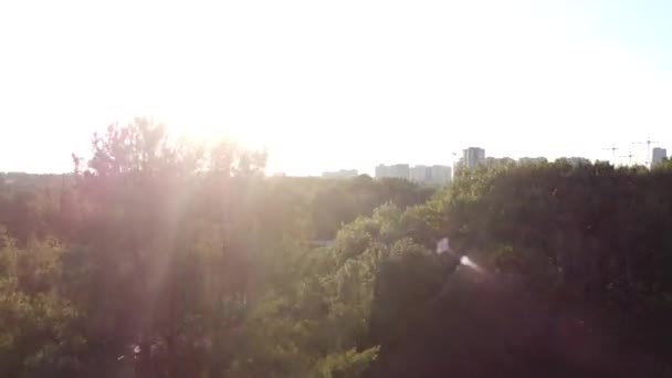 Panoramique lente à travers une forêt au lever du soleil un jour d'été avec de la lumière scintillant à travers les branches — Video