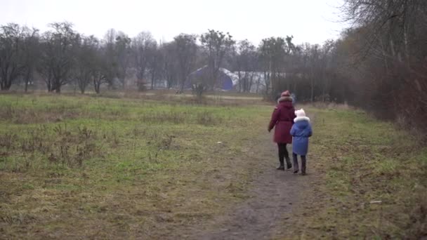Άνθρωποι περπατούν ζοφερό πάρκο τον Ιανουάριο — Αρχείο Βίντεο