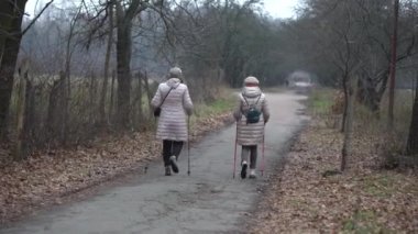 İnsanlar sokağın sonuna doğru ağaçlarla siste yürüyorlar. Büyük şehirde gizemli bir atmosfer.