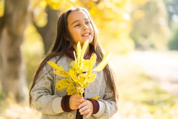 Outono retrato ao ar livre da bela menina feliz criança andando no parque ou na floresta — Fotografia de Stock