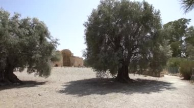 Heraklion ilinin güneyindeki Gortyna ya da Gortys antik kenti..