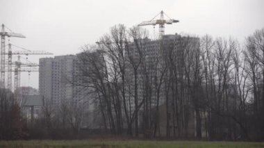 Kasvetli sonbahar parkı, bulutlu soğuk havada, kasvetli sonbahar boyaları. Buz yolunda orman var.