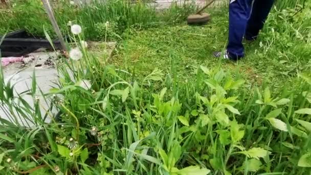 Man with a manual lawn mower mows the grass — Stock Video