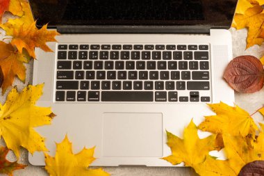 Bilgisayarlı ofis masası, arka planda sonbahar yaprakları. Kaliteli ev tipi ofis masası çalışma alanı dizüstü bilgisayarlı. Sonbahar ya da Kış konsepti. Konforlu ofis masasının üst görünümü.
