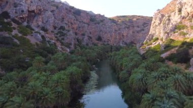 Yunanistan 'ın Girit adasındaki Preveli kentinde yeşil nehre yakın palmiyeler