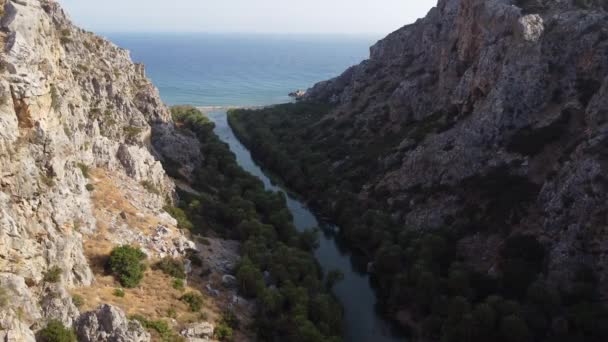 Palme vicino al fiume verde a Preveli, isola di Creta, Grecia — Video Stock