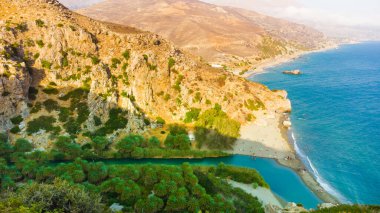 Yunanistan 'ın Girit adasındaki Preveli kentinde yeşil nehre yakın palmiyeler