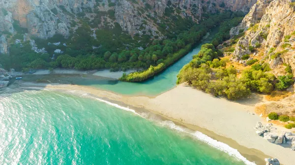 Palmer nær grønn elv på Preveli på Kreta i Hellas – stockfoto