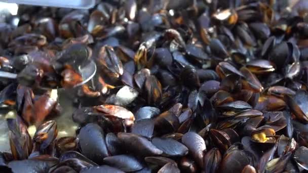 Boiled mussels in copper cooking dish on dark wooden background close up — Stock Video