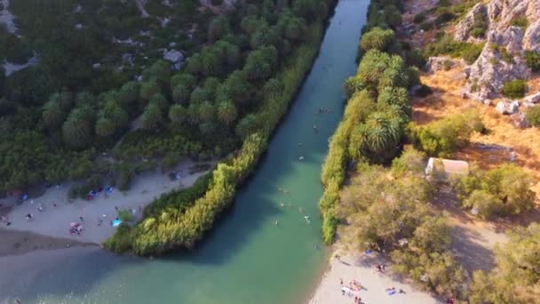 Palmiers près de la rivière verte à Preveli, Crète, Grèce — Video