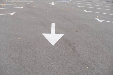 Caddedeki bisiklet trafik ışığı