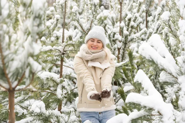 Schöne Frau, die zwischen schneebedeckten Bäumen im Winterwald steht und den ersten Schnee genießt. Frau im Winterwald. — Stockfoto