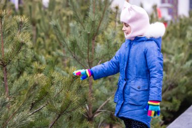 Sonbahar zaman içinde bir çam ormanı, sevimli küçük bir kız