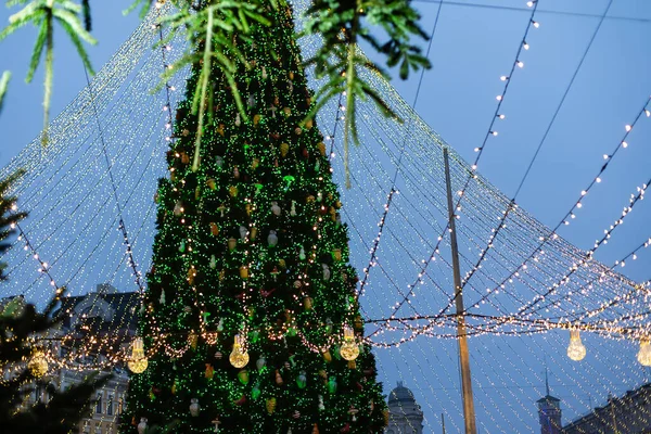 Kerstverlichting hangend in een boom — Stockfoto