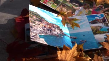 Parlak sonbahar yeşilliklerindeki fotoğraflar için albüm