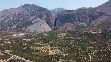 Girit 'te Dağ, Zeytin Ağaçları ve Evleri olan Yunan Hava Doğası manzarası. Yaz Tatil ve Turizm Merkezi.