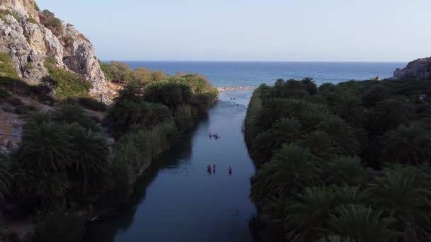 ギリシャクレタ島プレヴェリの緑の川の近くのヤシ — ストック動画
