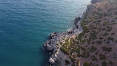 Yunanistan 'ın Girit adasındaki Preveli kentinde yeşil nehre yakın palmiyeler