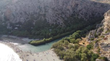 Yunanistan 'ın Girit adasındaki Preveli kentinde yeşil nehre yakın palmiyeler