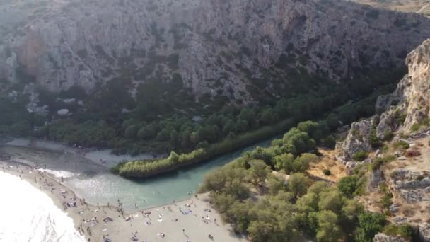 Palmeras cerca del río verde en Preveli, isla de Creta, Grecia — Vídeo de stock