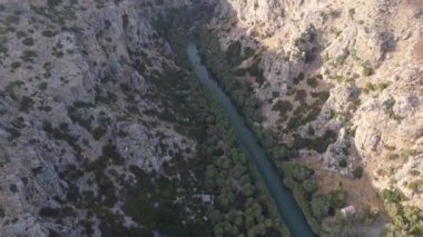 Yunanistan 'ın Girit adasındaki Preveli kentinde yeşil nehre yakın palmiyeler