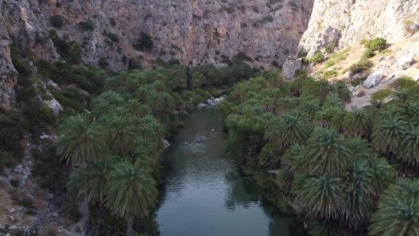 Amazing beaches of Greece series -preveli Crete — Stock Video