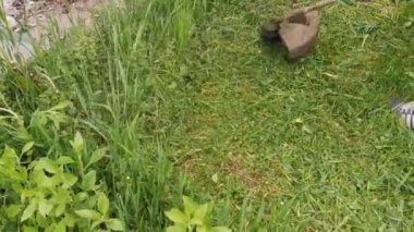 Adam çimleri manuel benzin çim biçme makinesiyle biçiyor. Bahçıvan çim biçme makinesi yeşil çim biçiyor. Bahçe bakımı aletleri. Çim biçme makinesiyle çim biçme işlemi. Yaz, güneşli gün.