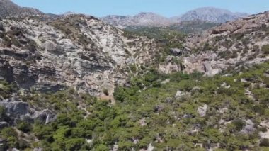 Yunanistan, Girit, yatay, zeytin ağaçları ve küçük dağ köyü