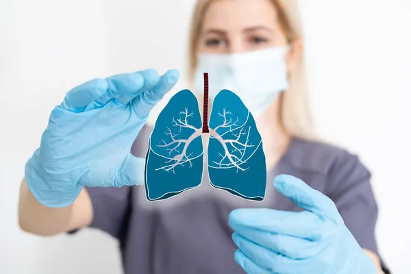 Лікар тримає символ органу легень. Поінформованість про рак легенів, пневмонію, астму, КСД, легеневу гіпертензію, світ не має тютюнового дня та забруднення навколишнього середовища. Дихальна та грудна концепція . — стокове фото