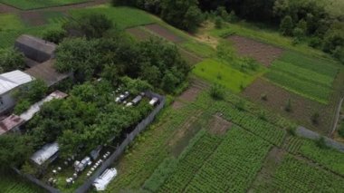 Apiary yeşil alanda. Arı kovanları ve arıları denetleyen bir arı yetiştiricisini yukarıdan izle. Kovanların üzerinde uçan arılar. Arıcılık konsepti. Hava görünümü.