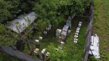 Arı çiftliğinde arı kovanları. Yazın arı kovanında ahşap kovan. Arı yetiştiricisi arıda çalışıyor. Apiculture süreci. Hava görünümü