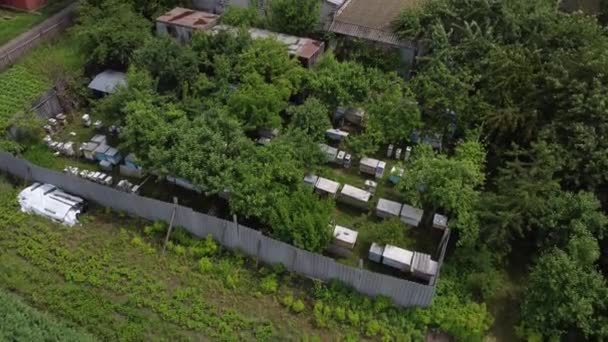 Bienenstock auf der grünen Wiese. Blick von oben auf Bienenstöcke und ein Imker, der Bienen inspiziert. Bienen fliegen über die Bienenstöcke. Imkerkonzept. Luftaufnahme. — Stockvideo