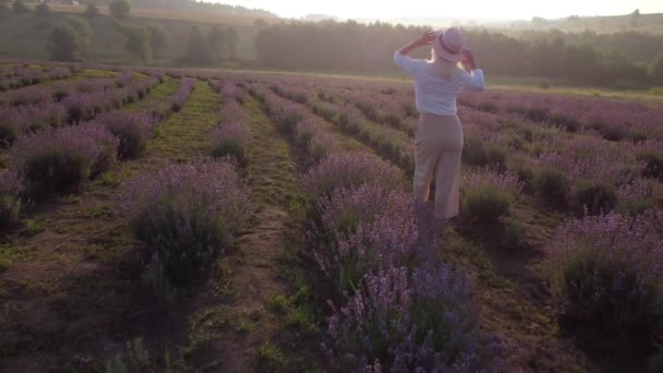 Drone wideo z wolnej i szczęśliwej młodej kobiety biegać w różowy i fioletowy lawendy pola o zachodzie słońca — Wideo stockowe