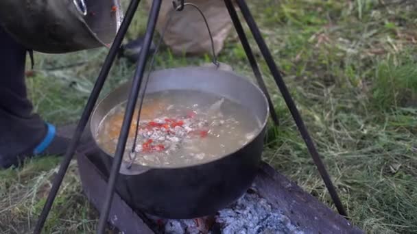 Hervir la sopa de pescado en una olla sobre el fuego. Caminata en la naturaleza. El concepto de actividades al aire libre. — Vídeos de Stock