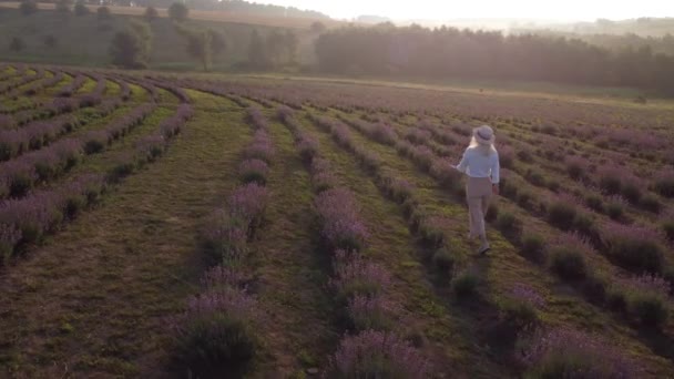 Wandernde Frauen auf dem Lavendelfeld. Romantische Frauen in Lavendelfeldern, die Urlaub machen. — Stockvideo