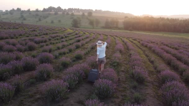 無料で幸せな若い女性のドローンビデオは日没時にピンクと紫のラベンダー畑で走ります — ストック動画