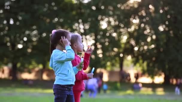 Dos niñas están soplando burbujas de jabón, rodaje al aire libre — Vídeos de Stock