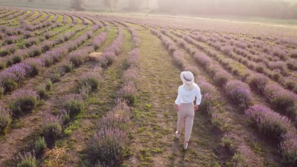 Chodící ženy na poli levandule. Romantické ženy na levandulových polích, na dovolené. — Stock video