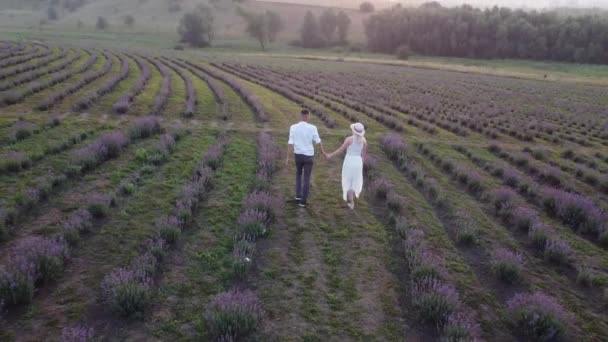 Hermosa pareja feliz en el campo de lavanda púrpura, divertirse en glade floral, naturaleza de verano, concepto de amor — Vídeo de stock