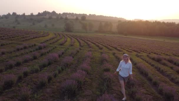 Wandernde Frauen auf dem Lavendelfeld. Romantische Frauen in Lavendelfeldern, die Urlaub machen. — Stockvideo