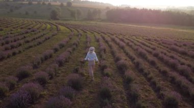 Lavanta tarlasında yürüyen kadınlar. Romantik kadınlar lavanta tarlalarında tatil yapıyorlar..