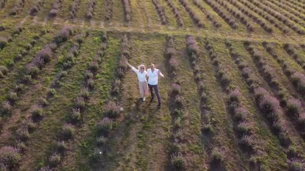 Счастливая пара на пурпурном лавандовом поле, веселье на цветочном поле, летняя природа, концепция любви — стоковое видео