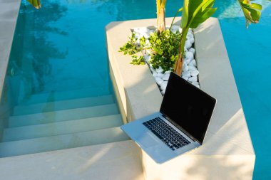 bir dizüstü bilgisayarda yüzme havuzunda şezlong