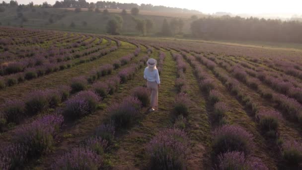 Drone vídeo de livre e feliz jovem correr em campos de lavanda rosa e roxo ao pôr do sol — Vídeo de Stock