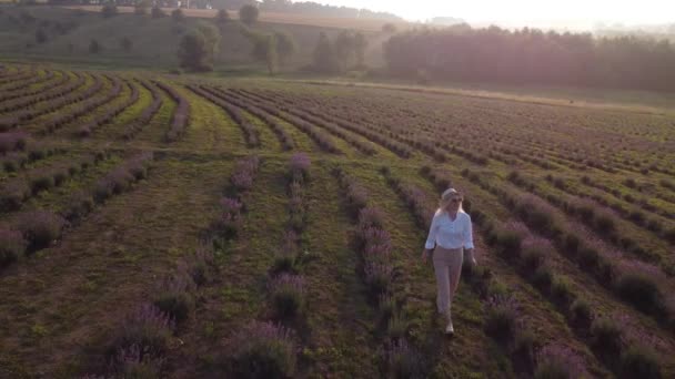 Drone video svobodné a šťastné mladé ženy běh v růžové a fialové levandulové pole při západu slunce — Stock video