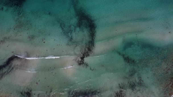 Miękka fala błękitnego oceanu na piaszczystej plaży. Kontekst. — Wideo stockowe