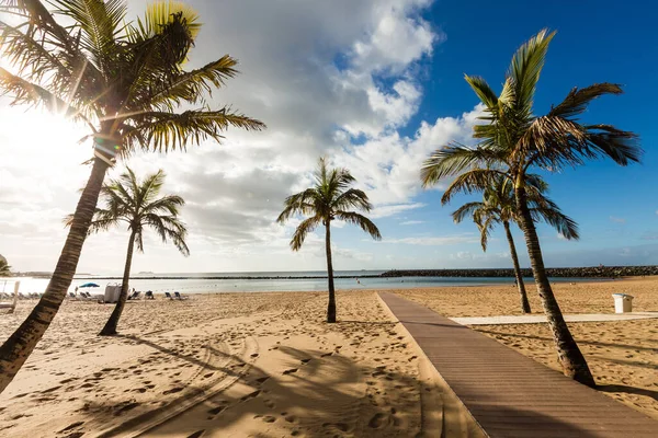 mükemmel kumsal sıcak yaz gününde